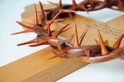 Cherry Wood Thorns Focus